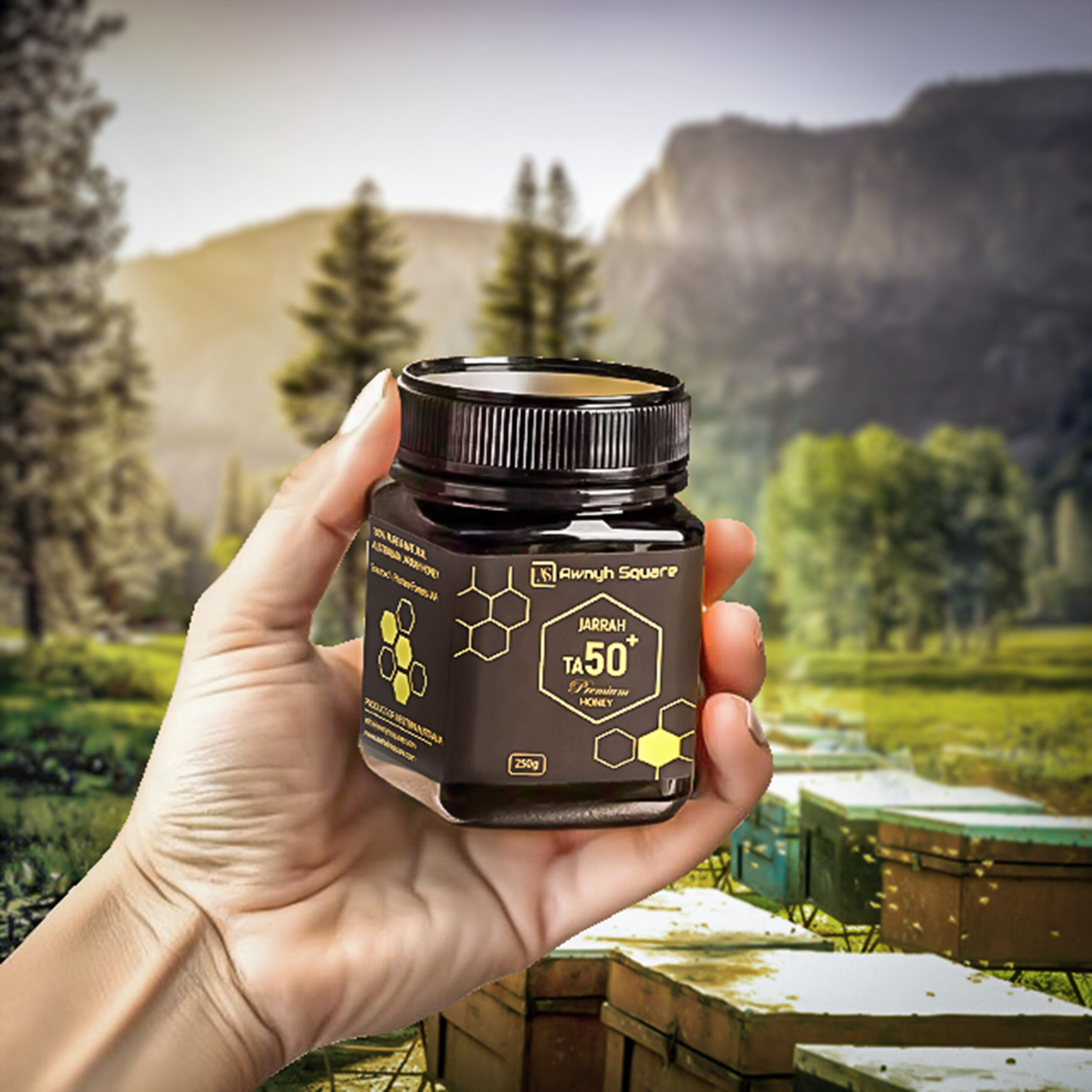 Jarrah Premium TA50+ Honey | 750g (3x 250g)